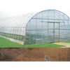 Wholesale Price Factory Direct Sale Greenhouse Frame for Agriculture