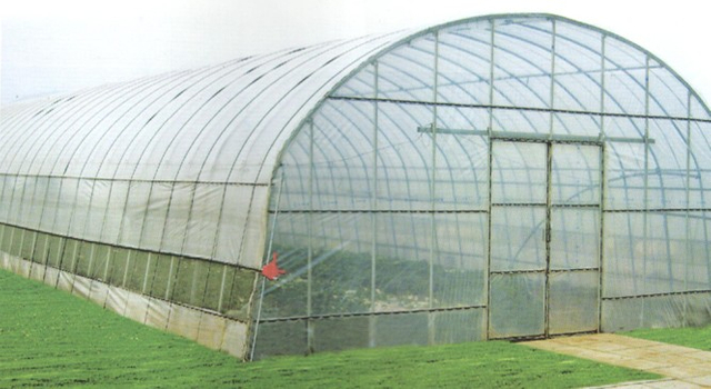 Low Cost Multi-span Plastic Agricultural Greenhouse